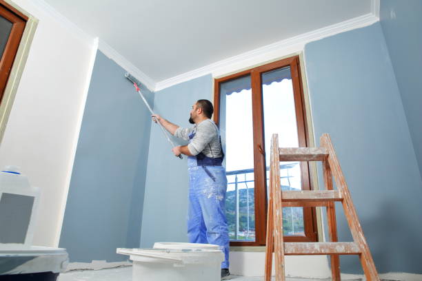 Best Basement Mold Removal  in Deerfield, IL