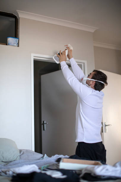 Best Emergency Mold Remediation  in Deerfield, IL