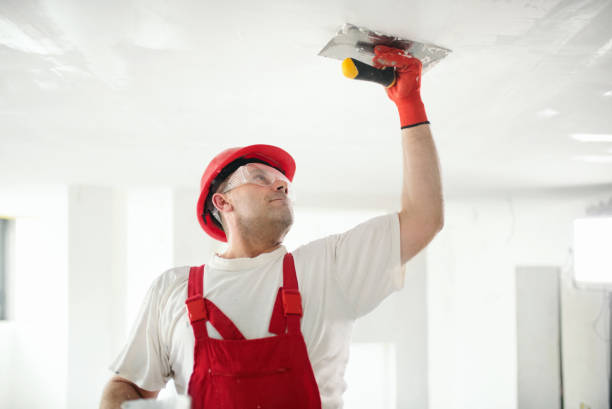  Deerfield, IL Mold Removal Pros