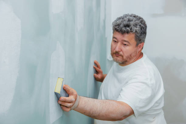 Best Mold Odor Removal Services  in Deerfield, IL