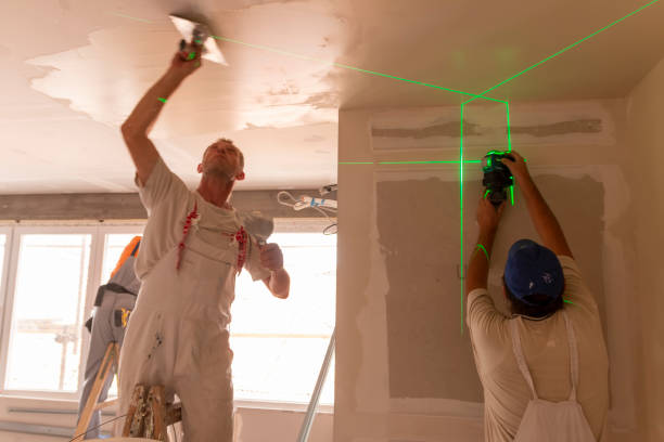 Professional Mold Removal in Deerfield, IL
