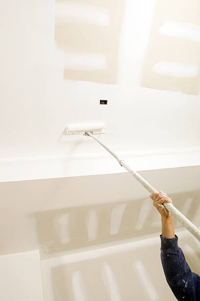 Best Real Estate Mold Inspection  in Deerfield, IL