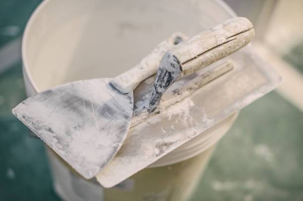Best Mold Damage Restoration  in Deerfield, IL