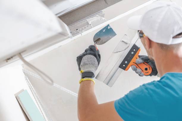 Best Mold Removal for HVAC Installations  in Deerfield, IL